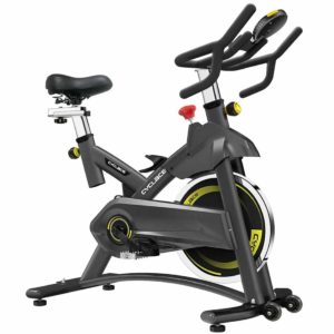 Cyclace Exercise Bike with LCD Monitor